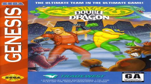 Battletoads And Double Dragon [c] game